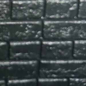 Meet your Posher, Ria